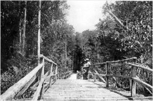 Entrance to the Rupununi Cattle Trail- circa 1920